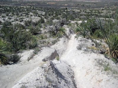 The Chutes
