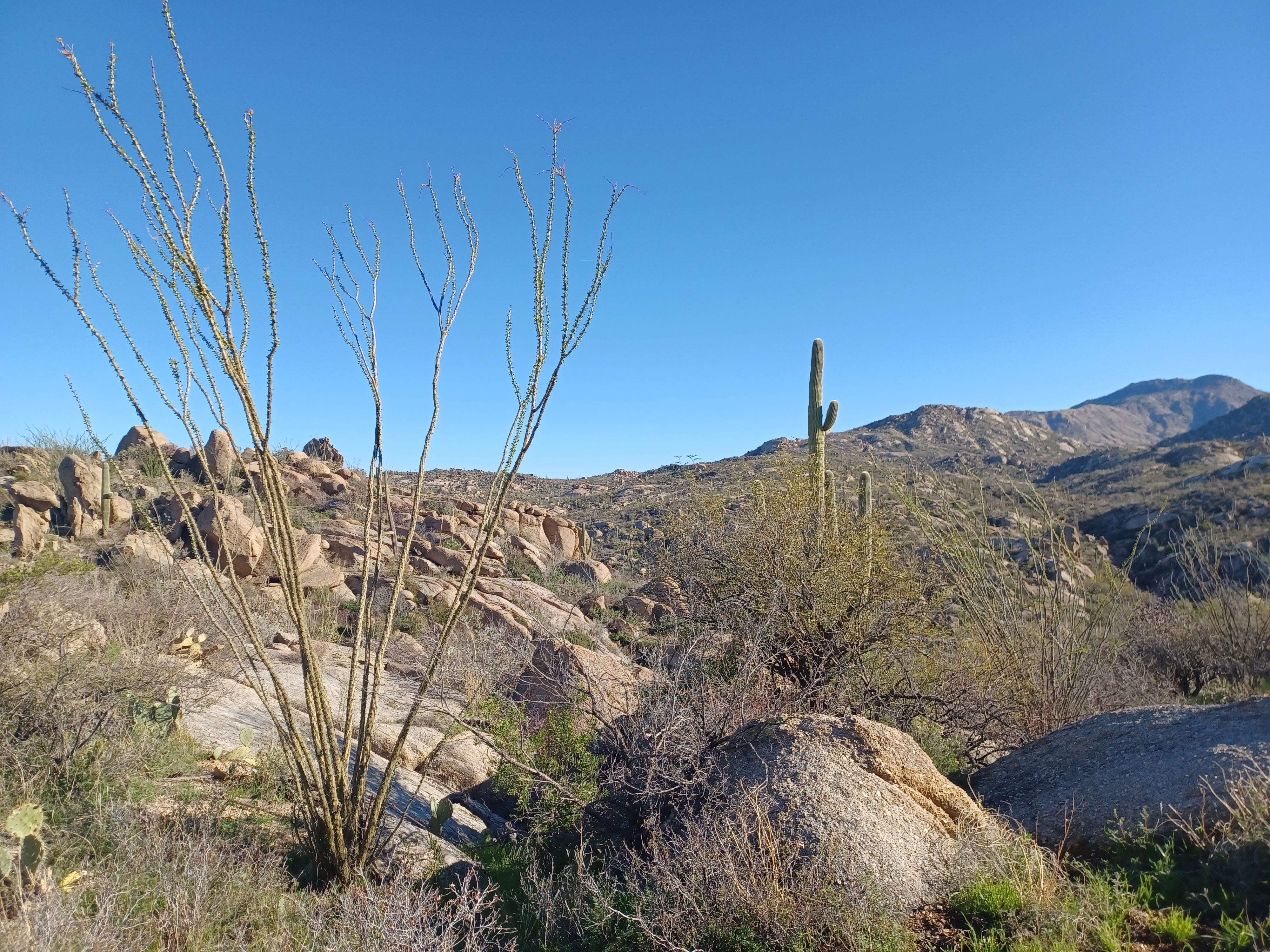50 Year – Middle Gate Loop